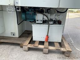 TARDUGNO RIBON MODULE 2 A - EP 1000 mm