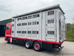 MAN TGX 26.440 6x2/4 Menke Livestock Veewagen Gross...