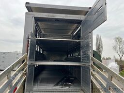 MAN TGX 26.440 6x2/4 Menke Livestock Veewagen Gross...