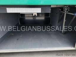 Van Hool EX15 H / TX15 Acron / 12.5m /