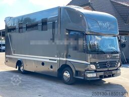 MERCEDES-BENZ Atego 818 Pferdetransporter