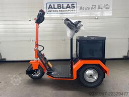 Diversen Trike 1200S electrotrekker