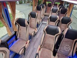 MERCEDES-BENZ 519 und 517 Glasdach XXL  20 Sitze Stock