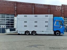 DAF XF 510 6x2 SuperSpaceCab - Livestock Cuppers 3 ...