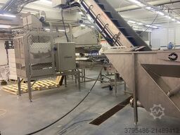 Marel Speed batcher pakkestasjon SBL 300