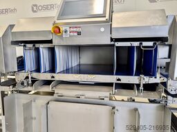 Sesotec Raycon D+ HX 1400 / 660 / 450 / 250