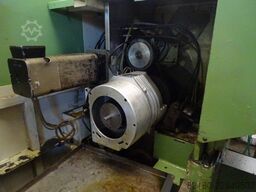 Index GE 65