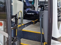 TEMSA 5 units Prestij SX,Novo Lux, Daily, Atego