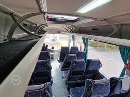 TEMSA 5 units Prestij SX,Novo Lux, Daily, Atego