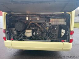 MAN R61 Lion's Intercity C | 6 Fahrzeuge