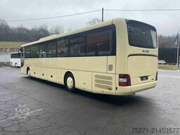 MAN R61 Lion's Intercity C | 6 Fahrzeuge