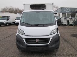 FIAT Ducato 130 *Carrier Tiefkühler*Euro6*