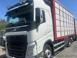Volvo FH 13 500 6X2 26T EURO 6 GANADERO