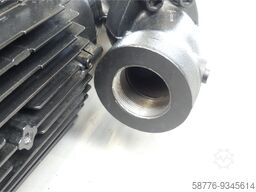  Brinkmann Pumps SBG1102 - V-Z+095 Pumpe No.  ! -