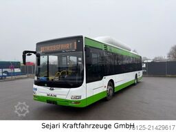 MAN A21 CNG Klima / Citaro / A20 A78 / 7 x auf Lager