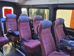 FIAT Ducato 9 Sitzer Mobility Airlineboden Rolli
