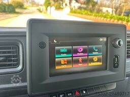 Renault Master Haras 1-2 Pferde