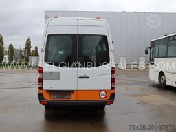 Mercedes Sprinter Transfer 45/Basic 45