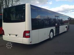 MAN A 37/A20 ,Lions City, Euro 6, Top Zus.  ID: 1880