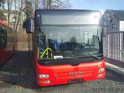 MAN A 20 Lions  City, Klimaanlage,  ID: 1846