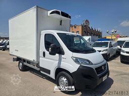 FIAT DUCATO 2.3MJT  2019 CELLA 3,60 ATP 2028