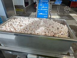 GEA Koppens 600mm breading line