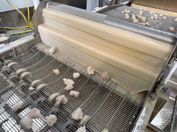 GEA Koppens 600mm breading line