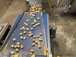 GEA Koppens 600mm breading line