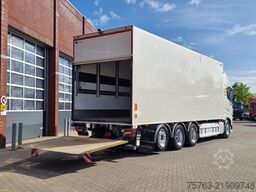 Volvo FH 16.750 XL 8x4*4 - Carrier Supra 1150 MT - Bi...