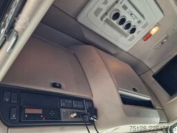 DAF 460, Retarder, Bullfänger, Limited Edition