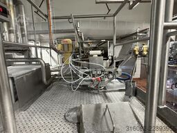Deltapack / PFM DC260 Vertical Flow Pack Machine (VFFS)
