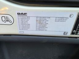 DAF LF 170 Gardine, wie neu, nur 82 TKM Original !