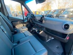 MERCEDES-BENZ STX Sprinter 3.500KG Haras Hengste