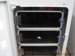 Thermo Fisher Scientific HERAcell 150