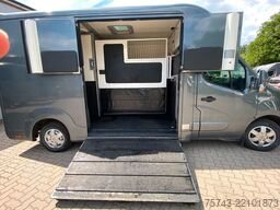 RENAULT Master STX 3 Sitzer  Automatik Haras / Hengste