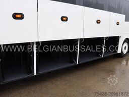 Iveco Evadys 13m / WC / 3-Point seat belts / NEW!!