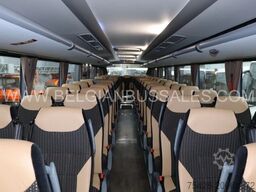 Iveco Evadys 13m / WC / 3-Point seat belts / NEW!!