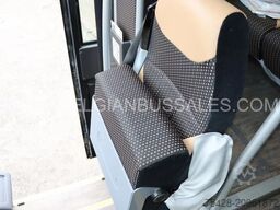 Iveco Evadys / 13m / Full Options / 3-Point seat belt...