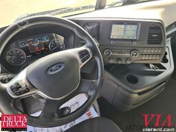 FORD F-MAX 500