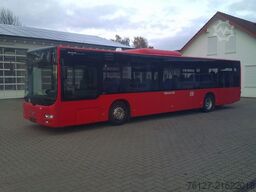 MAN 20 Stück A 20, EURO 5, KLIMA, ID.-Nr.: 1851