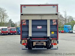 Iveco Eurocargo 4x2 Box - 250 PS - Zepro Loadlift - L...
