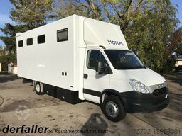 Iveco Daily 4 Pferde top Nutzlast