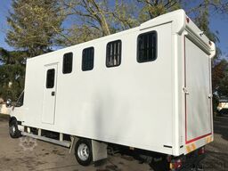 Iveco Daily 4 Pferde top Nutzlast