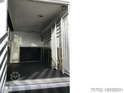 Iveco Daily 4 Pferde top Nutzlast