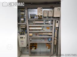 DYE RHE -3000