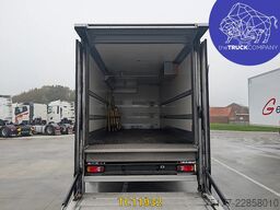 Renault D 250