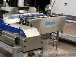 Yamato TSDW-206W