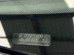 FIAT Ducato 3.0 Natural Power/CNG/Benzin 9 Sitze Pdc