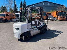 NISSAN UniCarriers DX 30 YG1D2A30Q