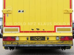 KÄSSBOHRER SP 9-16 geschlossener Autotransporter